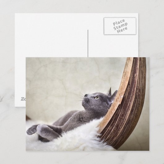 リラックス ポストカード (正面/裏面)