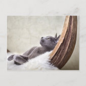 リラックス ポストカード (正面)