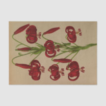 リリアムカルセドニクムバイアレントナヘンドリカアレンドセン