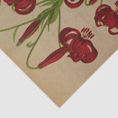 リリアムカルセドニクムバイアレントナヘンドリカアレンドセン 薄葉紙 (詳細)