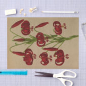 リリアムカルセドニクムバイアレントナヘンドリカアレンドセン 薄葉紙 (クラフト)