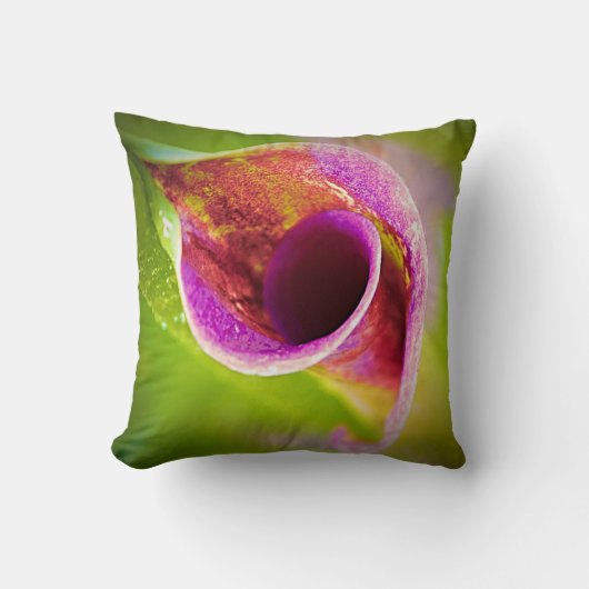 リリエレガントー装飾用クッション クッション (正面)