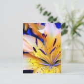 リリエンハート ポストカード (スタンド正面)