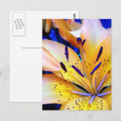 リリエンハート ポストカード (正面/裏面)