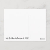 リリオンブルー ポストカード (裏面)