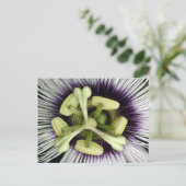 リリコイの花 ポストカード (スタンド正面)