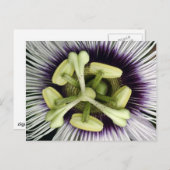 リリコイの花 ポストカード (正面/裏面)