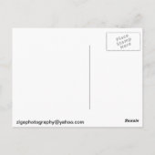 リリコイの花 ポストカード (裏面)