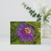 リリコイまたはパッションフラワー ポストカード (スタンド正面)