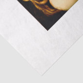 リリスバイジョンコリアーティッシュペーパー 薄葉紙 (詳細)