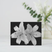 リリス ポストカード (スタンド正面)