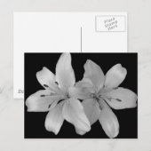 リリス ポストカード (正面/裏面)