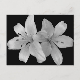 リリス ポストカード