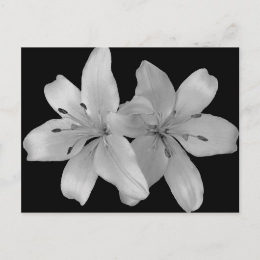 リリス ポストカード (正面)