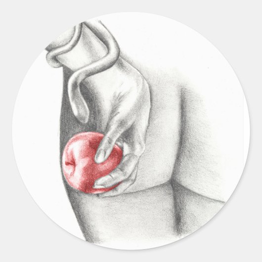 リリス ラウンドシール (正面)