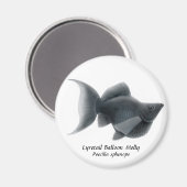 リリテールバルーンモリー マグネット (正面/裏面)