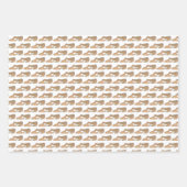 リリリカルアクロキャラクターシューズダンス先生スタジオ ラッピングペーパーシート (正面)