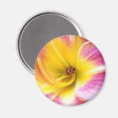 リリーのラディバグ マグネット (正面/裏面)