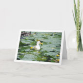 リリーの池の白いあひる カード (正面)