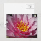 リリーを閉じる ポストカード (正面/裏面)