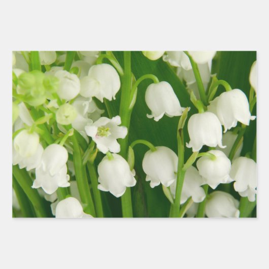 リリーオブザバレーホワイト春の花 ラッピングペーパーシート (正面)