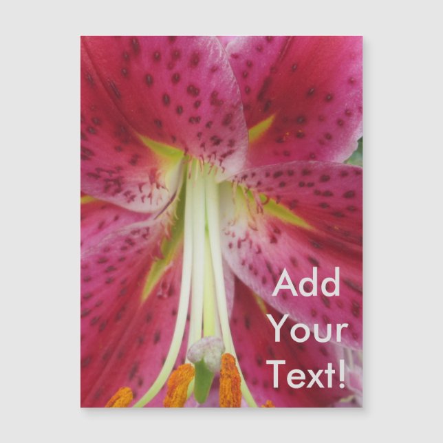 リリースターガーザーパープルフラワー (正面)