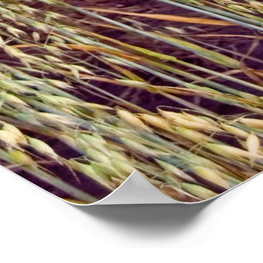 リリース ポスター (角)