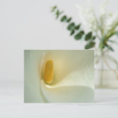 リリーセンターはがき ポストカード (スタンド正面)