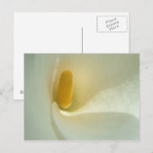 リリーセンターはがき ポストカード (正面/裏面)