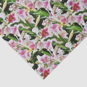 リリーティッシュペーパー 薄葉紙 (詳細)