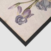 リリーバイジャック・ド・モラグ 薄葉紙 (詳細)