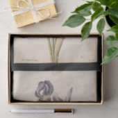 リリーバイジャック・ド・モラグ 薄葉紙 (ギフト)