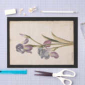 リリーバイジャック・ド・モラグ 薄葉紙 (クラフト)