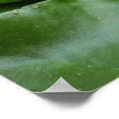 リリーパッドに飾られたカエルの王子様 ポスター (角)