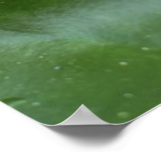 リリーパッドに飾られたカエルの王子様 ポスター (角)