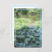 リリーパッドサンキューカード サンキューカード (正面/裏面)