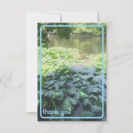 リリーパッドサンキューカード サンキューカード
