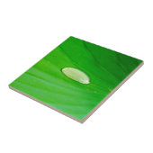 リリーパッドセラミックタイル タイル (側面)