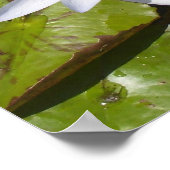 リリーパッドプリント ポスター (角)
