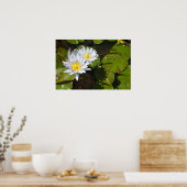 リリーパッドプリント ポスター (キッチン)