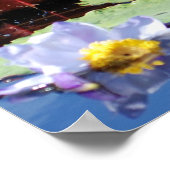 リリーパッド ポスター (角)