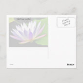 リリーパッド ポストカード (裏面)