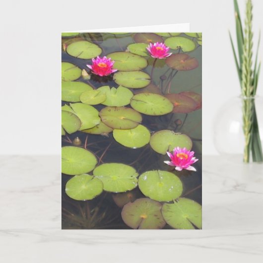 リリーパッド&ロータスゼン誕生日カード カード (正面)