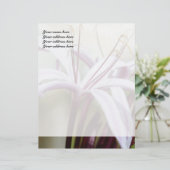 リリーパーソナライズされたレターヘッド レターヘッド (スタンド正面)