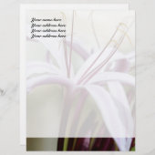 リリーパーソナライズされたレターヘッド レターヘッド (正面/裏面)