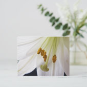 リリーフラワーマクロポストカード ポストカード (スタンド正面)