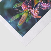 リリーフラワー1 薄葉紙 (詳細)