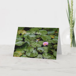 リリーポンド誕生日カード カード