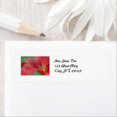 リリーラベル ラベル (インサイチュ)