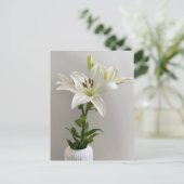 リリー子守歌 | ホワイトシンプルフローラ絵を描ズ ポストカード (スタンド正面)